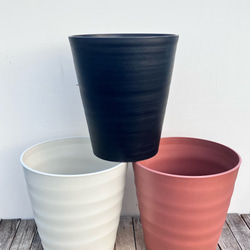 斑入りスパティフィラム＊いせ姫＊オシャレな陶器鉢＊斑入り＊観葉植物