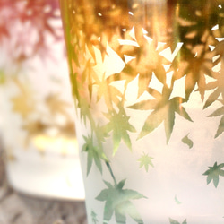 秋葉杯/泡沫 第13張的照片