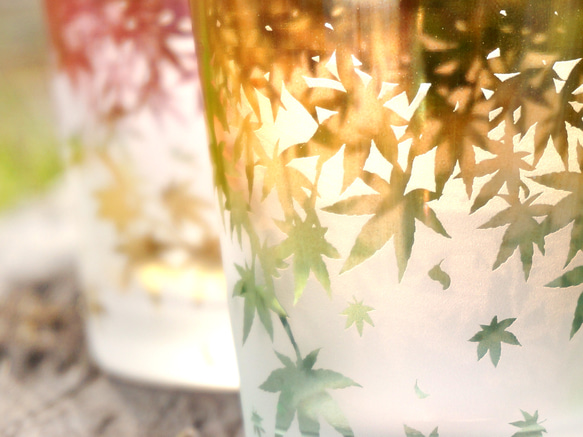 秋葉杯/泡沫 第13張的照片