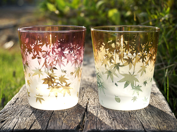 秋葉杯/泡沫 第1張的照片