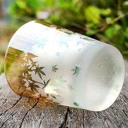 秋葉杯/泡沫 第11張的照片