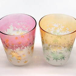 秋葉杯/泡沫 第15張的照片