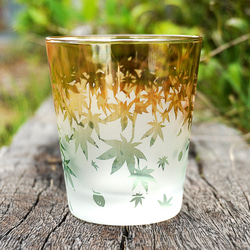 秋葉杯/泡沫 第9張的照片