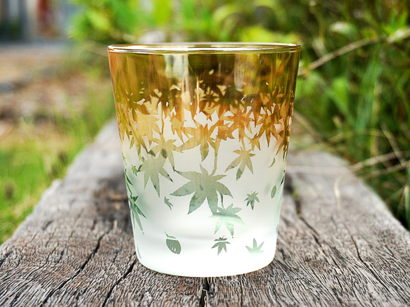 秋葉杯/泡沫 第9張的照片