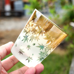 秋葉杯/泡沫 第12張的照片