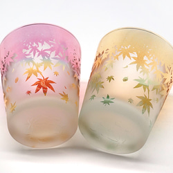 秋葉杯/泡沫 第17張的照片