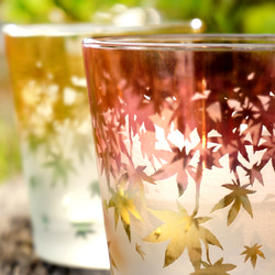 秋葉杯/泡沫 第14張的照片