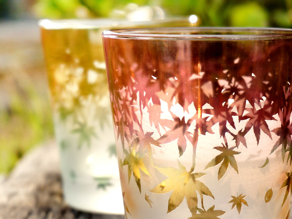 秋葉杯/泡沫 第14張的照片