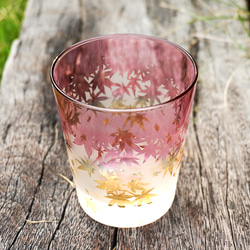 秋葉杯/泡沫 第4張的照片