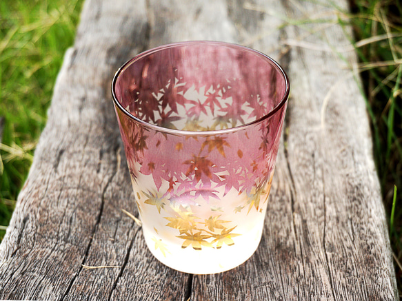 秋葉杯/泡沫 第4張的照片