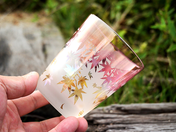 秋葉杯/泡沫 第7張的照片