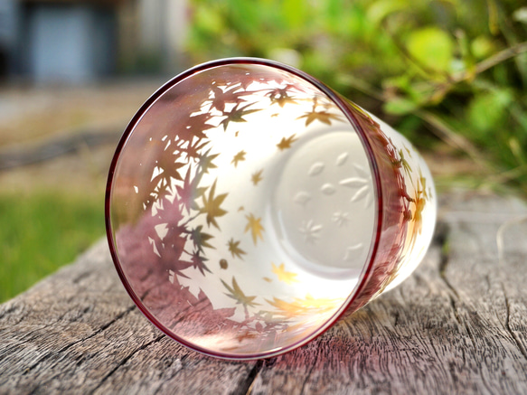 秋葉杯/泡沫 第5張的照片