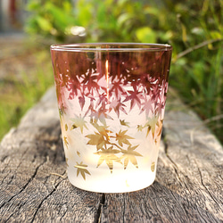 秋葉杯/泡沫 第3張的照片