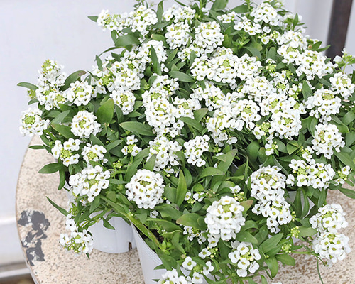 b73ba7c705b8d64bca9f523934d1ab