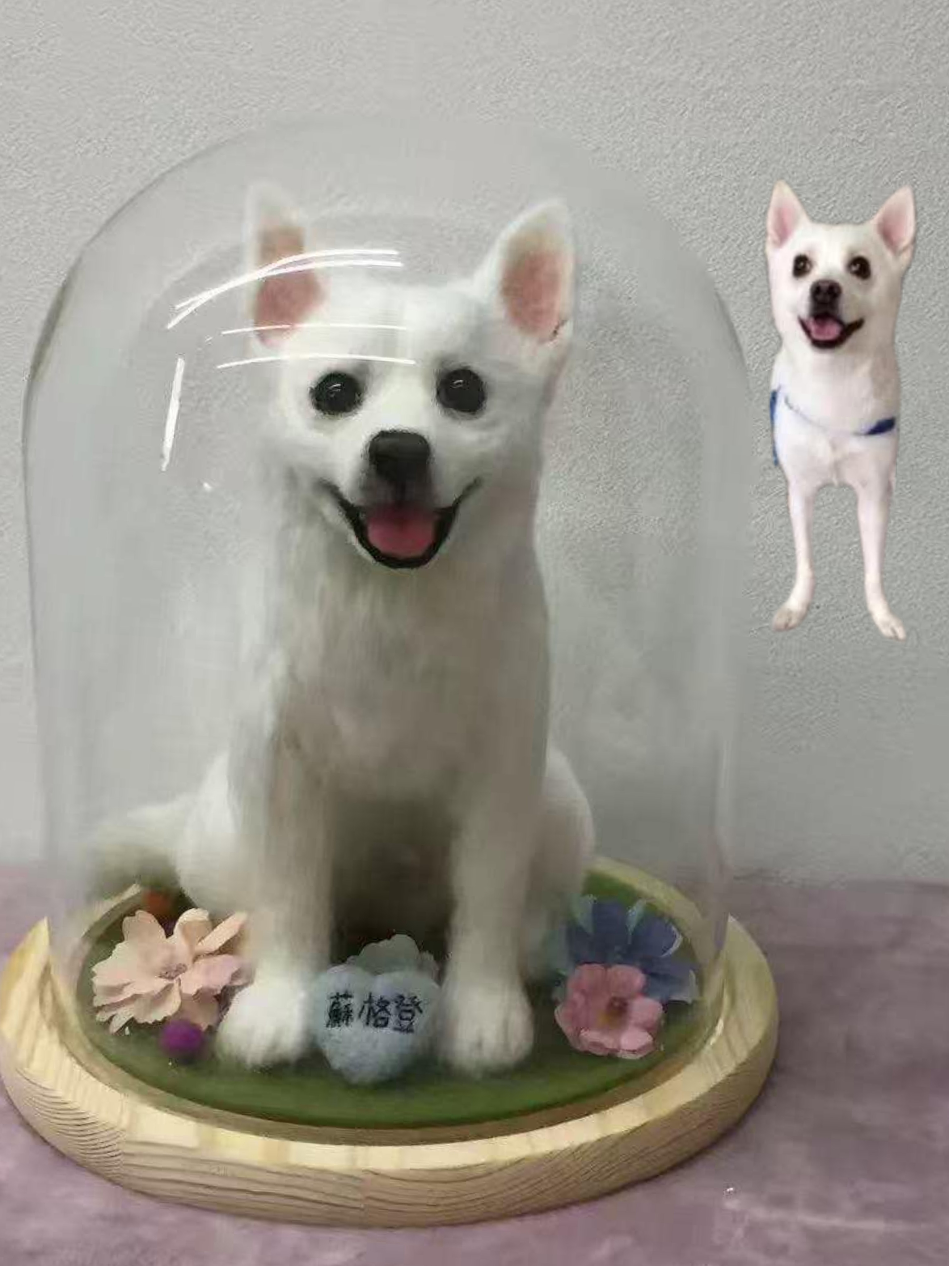 【オーダーメイド ペット】ぬいぐるみ 亡くなっ た サモア犬 うちの子、ペット似顔絵、犬 猫 人形、