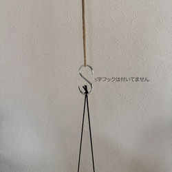  第7張的照片