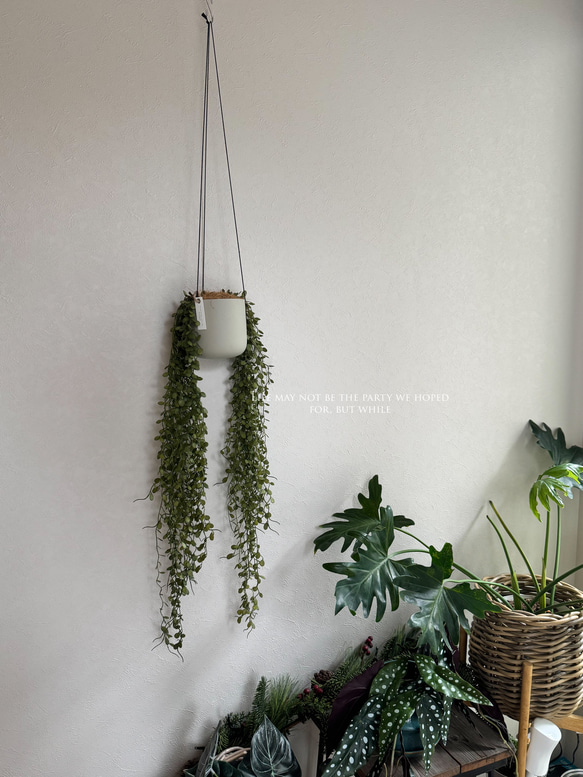 第1張的照片