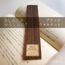 ▦60種60C『世界の木樹の標本／cube（い）：世界中の木材になる木たち