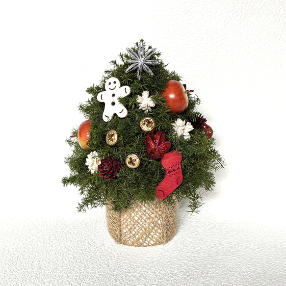 クリスマス　飾り　オーダー受付 オーダーしていたフレッシュなクリスマスツリーが届きました