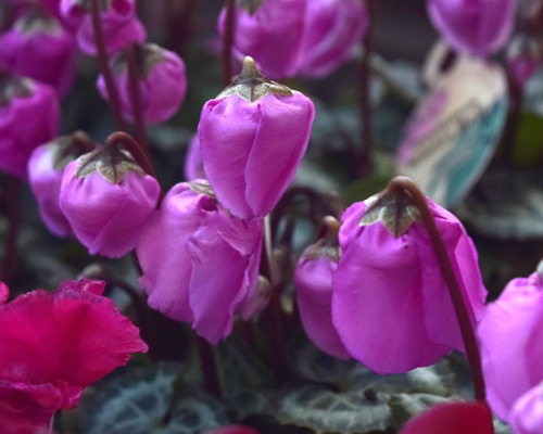 b6ca965acd90d7057473568e8558f4