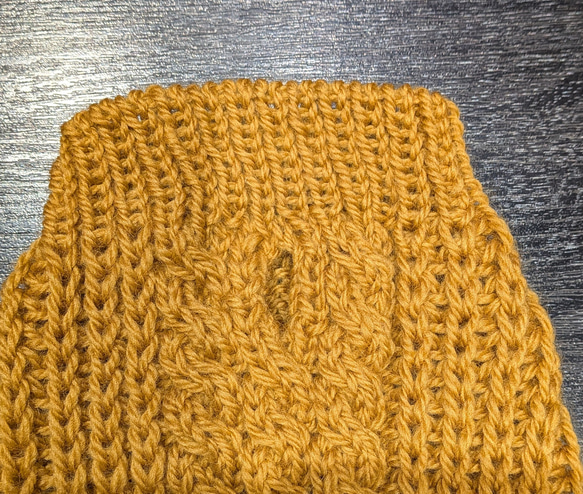 犬服♪(小型犬SS〜S)細目の毛糸でざっくり！裾ラウンド型アラン模様の手編みセーター 7枚目の画像