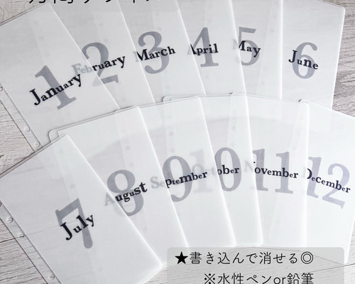 Savingリフィル デザイン⑱ 月間リフィル 12枚セット その他雑貨