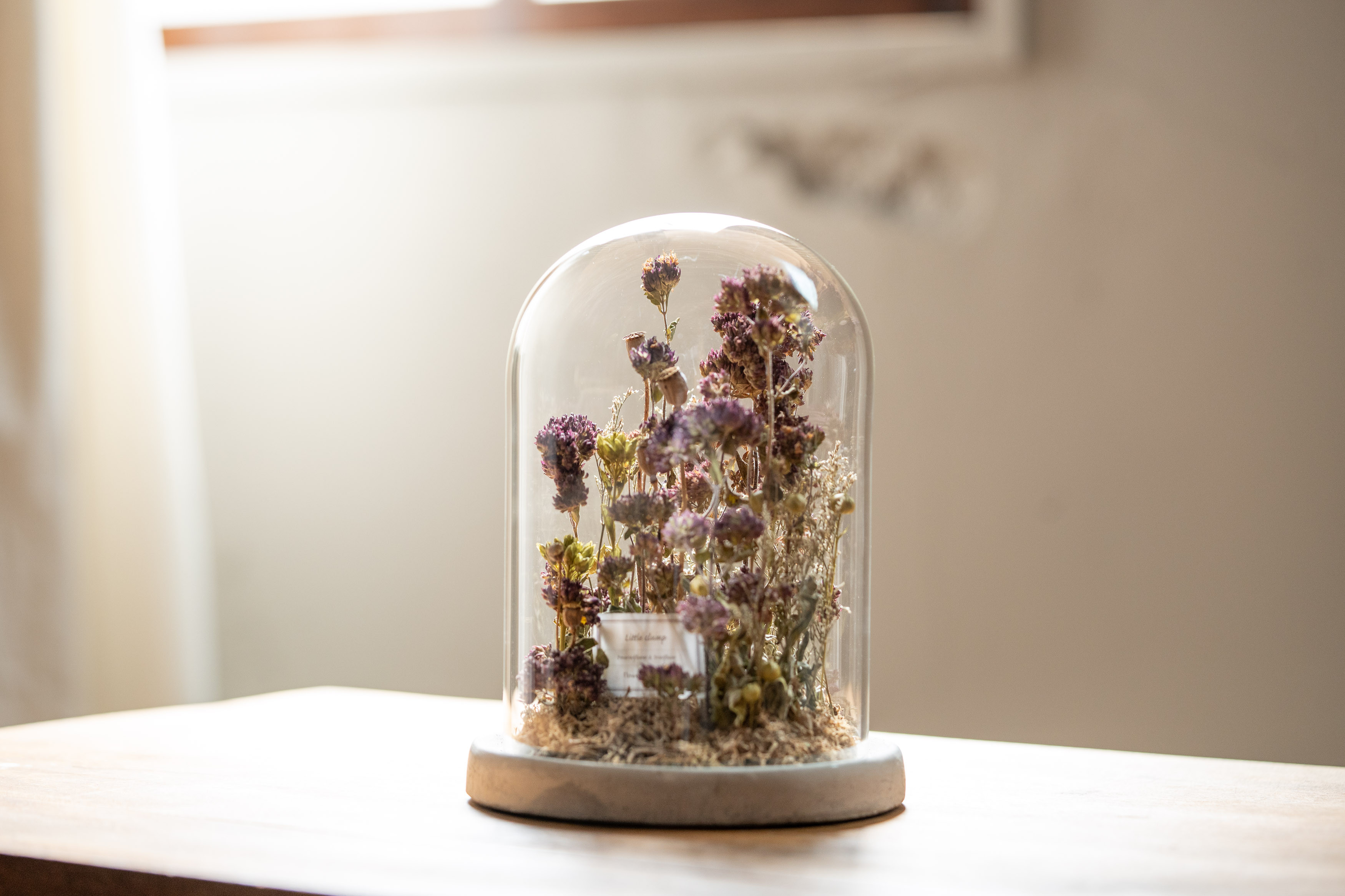 【一点もの】Little clump＊Mサイズ＊オレガノ