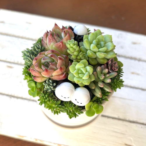 【天然石・石鉢・寄せ植え鉢・多肉植物鉢・盆栽鉢・山野草鉢・和鉢】庭石オブジェ箱庭 3b4bf0c0fa99af026193aea6db71ca