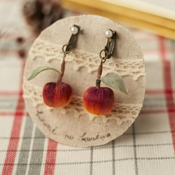 リコリス【 酔舞龍⠀】珍しい彼岸花 反り返る蕊と花びらのぐらで