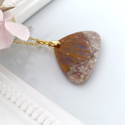 【和栗】オパライズド・ウッド（オパール化した木の化石） 4枚目の画像