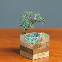 テラリウムブロック 河原の風景 夏 1枚目の画像