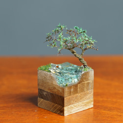 テラリウムブロック 河原の風景 夏 2枚目の画像