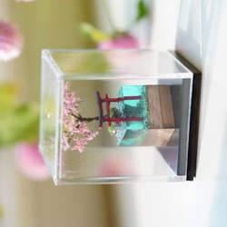 [creema限定]テラリウムブロック-故郷の桜- 5枚目の画像
