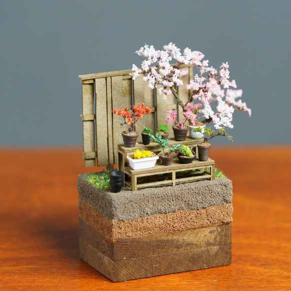 ワイドテラリウムブロック 盆栽棚 1枚目の画像