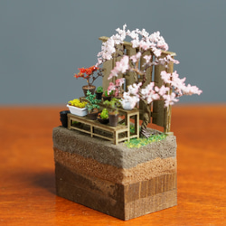 ワイドテラリウムブロック 盆栽棚 2枚目の画像