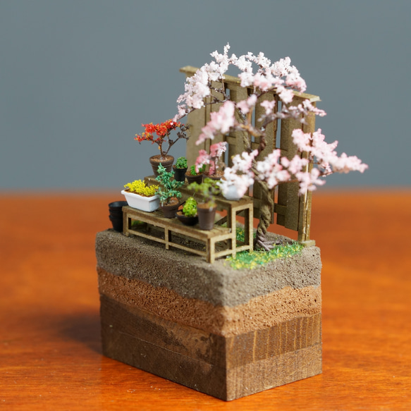 ワイドテラリウムブロック 盆栽棚 2枚目の画像