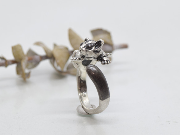 抱きつきフクロモモンガのシルバーリング 4枚目の画像