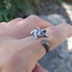 抱きつきフクロモモンガのシルバーリング 8枚目の画像