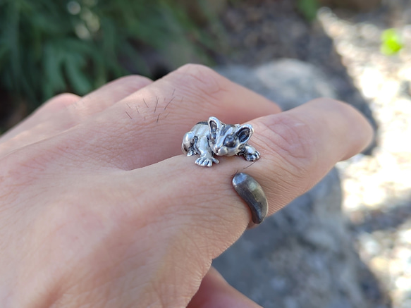 抱きつきフクロモモンガのシルバーリング 8枚目の画像