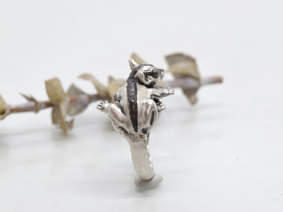 抱きつきフクロモモンガのシルバーリング 5枚目の画像