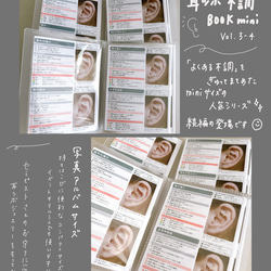 耳ツボジュエリー | 耳ツボ辞典 | 112通り＋αの症状 | B6サイズ