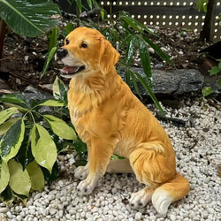 ゴールデンレトリバー 置物 オブジェ ガーデニング インテリア 犬 動物