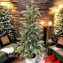 光触媒　人工観葉植物　ウォールグリーン　フェイクグリーン　オリーブツリー1.65 光触媒 人工観葉植物 ウォールグリーン フェイクグリーン