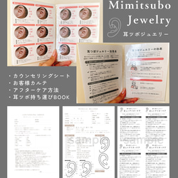 耳ツボジュエリー | 耳ツボ辞典 | 112通り＋αの症状 | B6サイズ