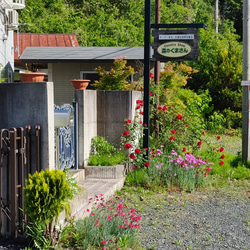 わんちゃん二階建てハウス（一階寝室・食堂 2階トイレ仕様）どの様な