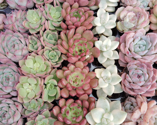 7425990bc6e76dd33f89539136c12d