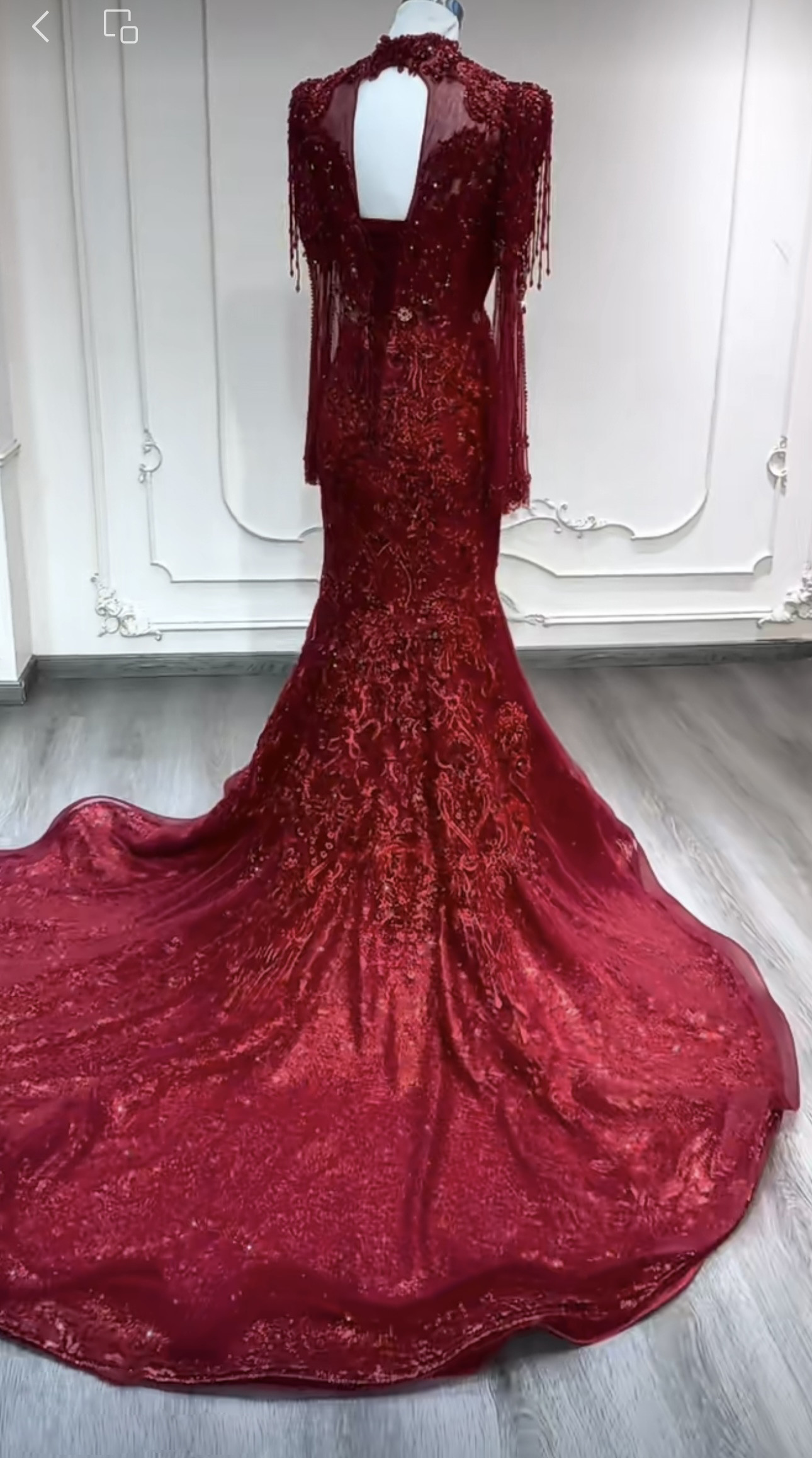 WEB限定　ラッパ袖　シースルー長袖トレーン　編み上げ　背中空き花嫁　マーメイドドレス　パーティー演奏会コンテスト発表会