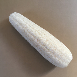 信州産】ヘチマたわし 食器一般用 240529#01 その他キッチン小物