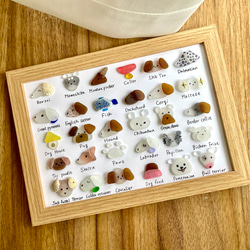 シーグラスアート☆No153 図鑑 ギフト プレゼント 父の日 海の生き物