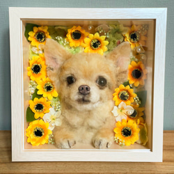 箱入り娘✳︎息子 わんちゃん オーダーメイド♪ 羊毛フェルト